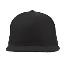 custom its a privilege hat
